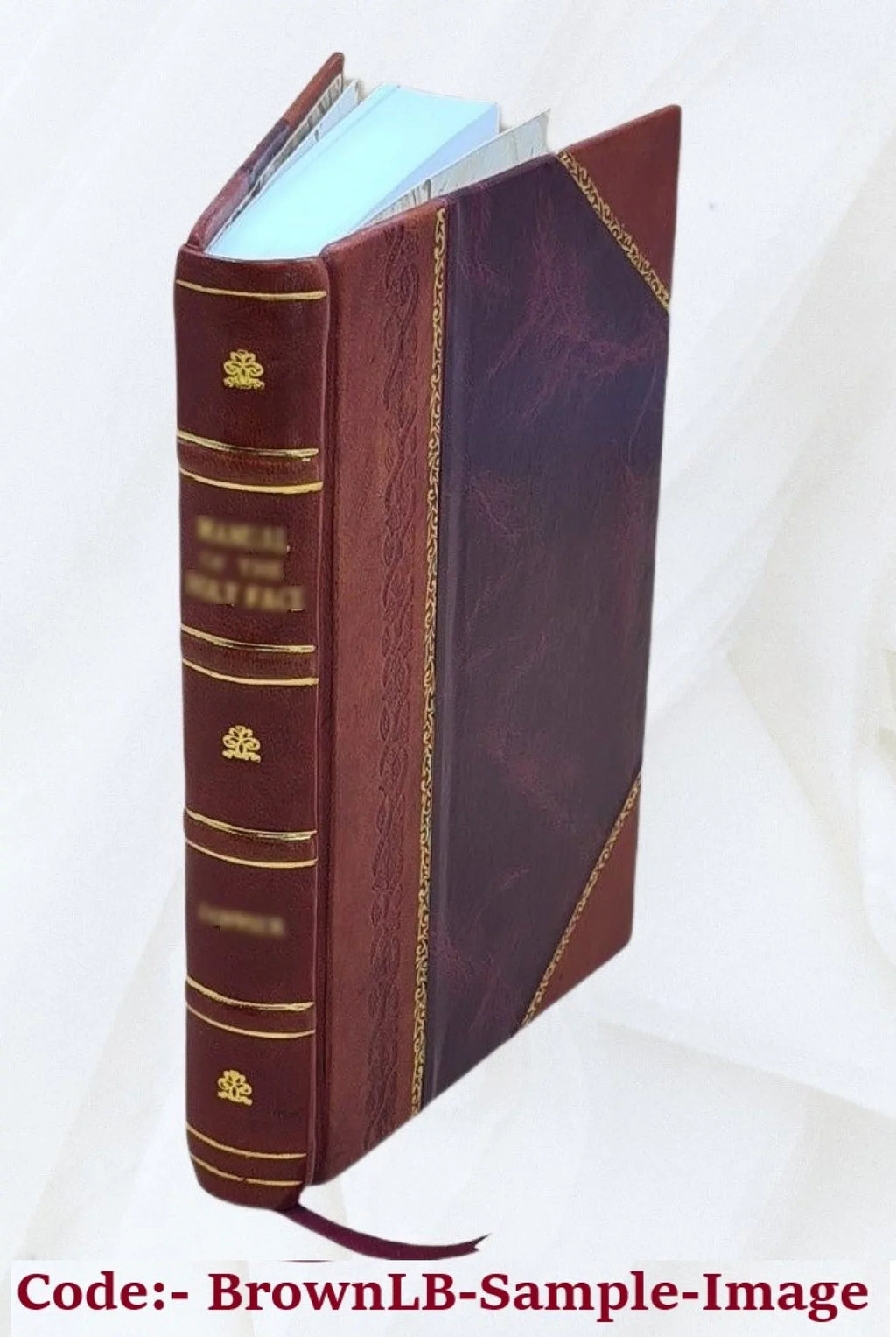 1901 [Leather Bound]. William Shakespere : a study in Elizabethan literature / by Barrett Wendell